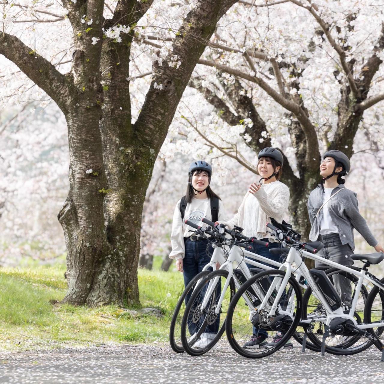 Kona Stay Bicycle Resort อิซึโนะคุนิ ภายนอก รูปภาพ